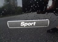 BMW Série 3 -316D 2.0 116 HP SPORT XENON CRUISE DAB+ EU-OK JUIN 2026