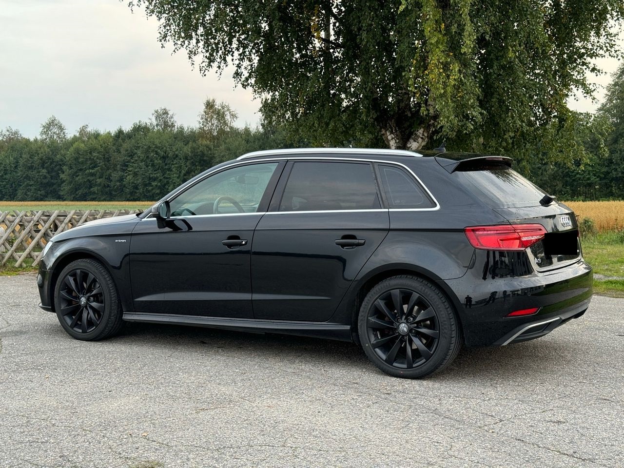 Audi A3 E-tron Sportback 2017
