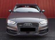 Audi A3 Sportback e-tron ACC/DELSKINN
